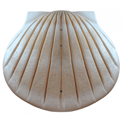 Biodegradable Cremation Ashes Urn - The Shell (Sand)